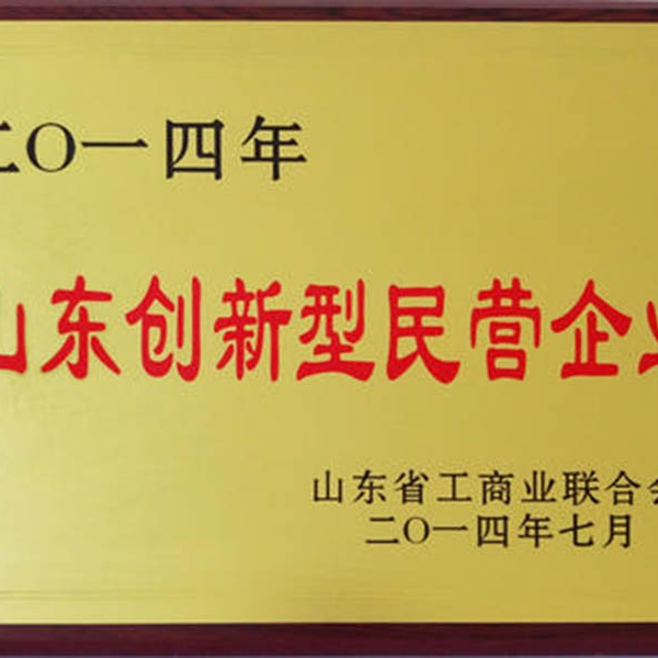 山東創(chuàng)新型民營企業(yè)